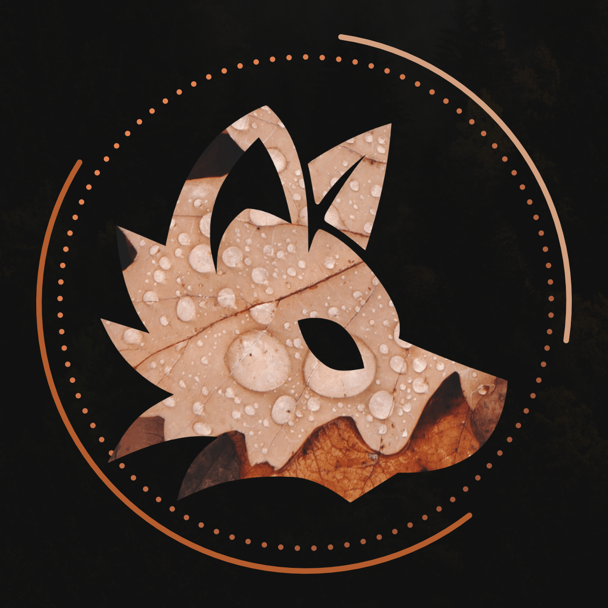 Akoot&Co icon (dark)