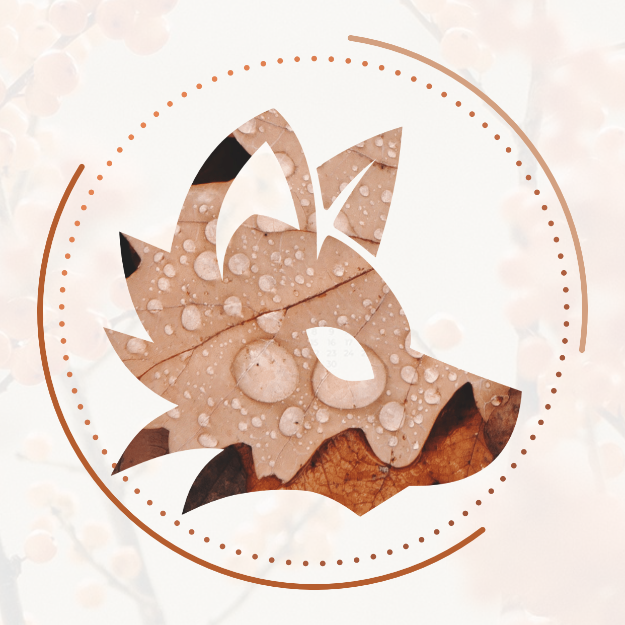 Akoot&Co icon (light)